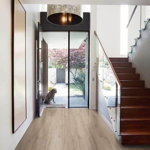 117843103_712629629293552_9126553503478576166_n