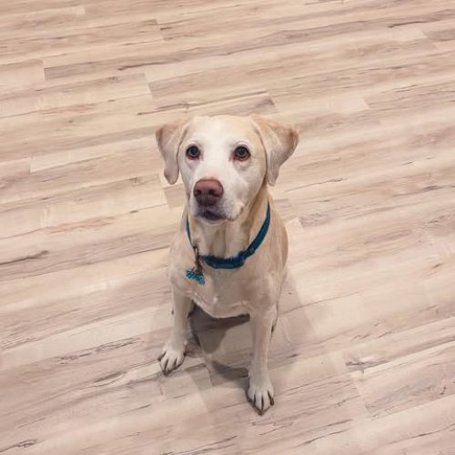 141291900_695615121107879_8605141361036554358_n