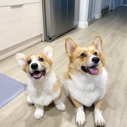 311678757_179048724701580_6962153126139440091_n